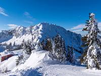 Traumhafte Winterlandschaft am Aufstiegsweg zum Andachtskreuz